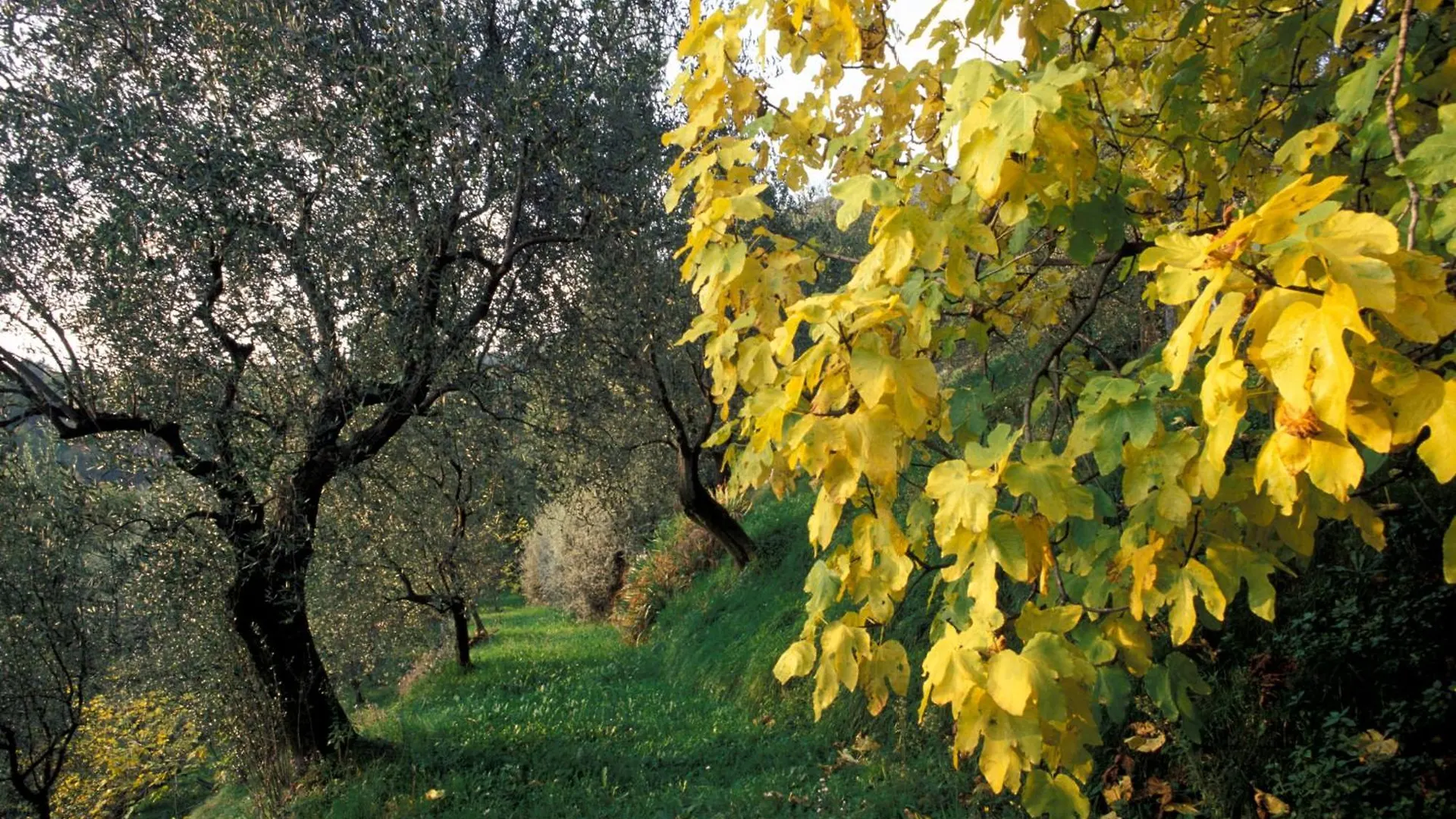 Dimora Bolsone Vila Gardone Riviera Alojamento de Turismo Rural